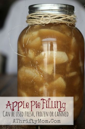 Fresh Apple Pie Recipe, Canning Apple Pie Filling, Apple Pie Filling Recipe, Frozen Apple, Canning Apples, Apple Pie Filling Recipes, Weight Watcher Desserts, Homemade Apple Pie Filling, Freezing Apples