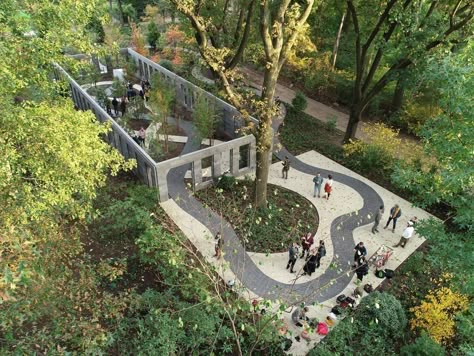 The Woodland Garden at Brooklyn Botanic Garden by MVVA — Landscape Architecture Platform | Landezine Botanical Garden Architecture, Evergreen Groundcover, Hotel Landscape, Brooklyn Botanical Garden, Brooklyn Botanic Garden, Flora Garden, Brooklyn Bridge Park, Urban Park, Garden Architecture