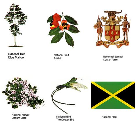 The Jamaica’s National Symbols | Traverse Jamaica Jamaica National Heroes, Jamaican Phrases, Jamaican Tattoos, Jamaica Facts, Jamaica Culture, Jamaica History, Jamaican Culture, Tropical Flower Plants, Cool Chest Tattoos