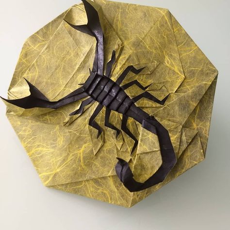 Scorpion Template, Origami Scorpion, Scorpion Linocut, Taxidermy Scorpion, Origami Insects, Scorpion Wire Sculpture, Creative Origami, Origami Artist, Origami Dragon