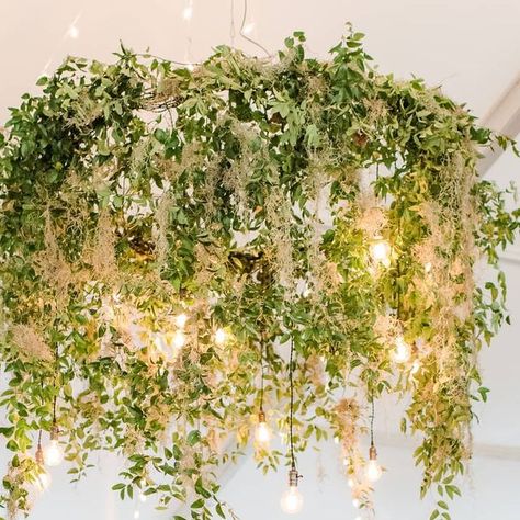 Spanish Moss Wedding Bouquet, Spanish Moss Wedding Decor, Greenery Chandelier Wedding, Moss Centerpiece Wedding, Spanish Moss Wedding, Moss Wedding Decor, Wedding Spanish, Beetlejuice Party, Swamp Party