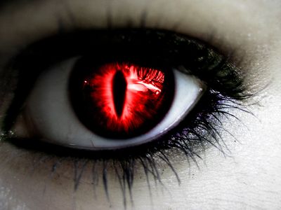 Vampire Eye Vampire Eyes, Red Contacts, Regard Animal, Eternal Soul, Demon Eyes, Halloween Contacts, Crazy Eyes, Magic Eyes, Aesthetic Eyes