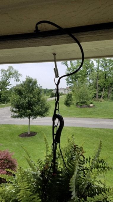 Drip Watering System, Garden Diy Decoration Ideas, Irrigation System Diy, Irrigation Diy, Water Ferns, Drip Irrigation Diy, Watering Garden, Hanging Ferns, Diy Decoration Ideas