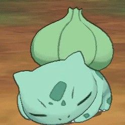 Videogame Characters, Pokemon Sleep, 3d Pokemon, Pokemon Bulbasaur, Mega Pokemon, Pokemon Gif, Cute Pokemon Pictures, Pokemon Comics, Team Rocket