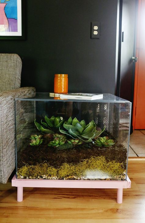 DIY: terrarium side table Terrarium Table, Terrariums Diy, نباتات منزلية, Diy Side Table, Indoor Gardens, Terrarium Diy, Terraria, Diy Coffee Table, Cactus Y Suculentas