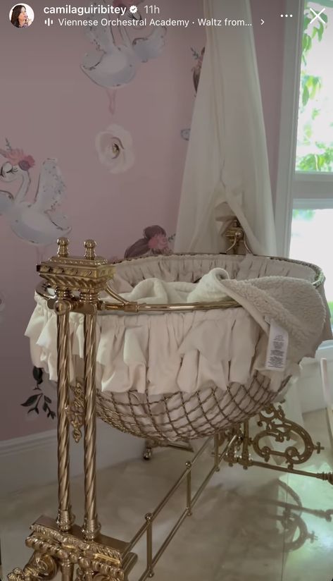 Aesthetic Nursery Ideas, Unique Baby Room Themes, Victorian Baby Room, Princess Baby Room, Chic Baby Nursery, Luxury Baby Crib, Nursery Aesthetic, Luxury Baby Nursery, Princess Crib