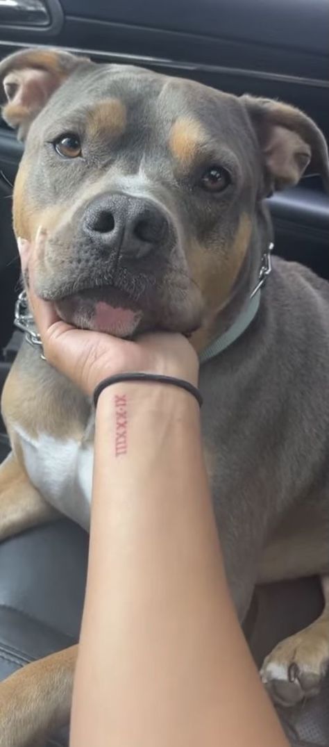 Meaningful Roman Numeral Tattoos, Roman Numeral Tattoos Wrist, Roman Numeral Tattoo For Dog, 1976 Roman Numeral Tattoo, Roman Numeral On Wrist, Tattoos In Roman Numerals, Birth Year Tattoo Roman Numerals, Roman Numbers Birthday Tattoo, Hand Roman Numeral Tattoo