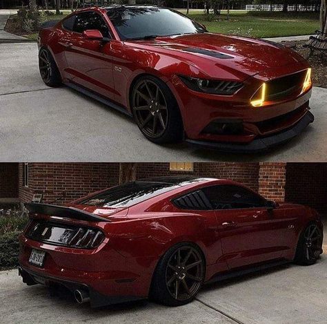 Red Mustang, Ford Mustang Car, Classic Mustang, Custom Muscle Cars, Ford Classic Cars, Ford Mustang Shelby, Mustang Cars, Best Luxury Cars, Blood Red