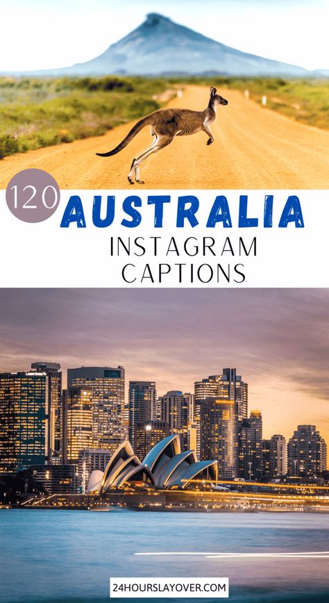 Looking for the best captions, quotes or puns about Australia? Australia's wildlife is unique & the beaches are out of this world! Whether you’re doing a road trip from Cairns to Sydney, visiting Byron Bay beaches or Rottnest Island to see the quokkas, going swimming with the humpback whales, seeing the kangaroos in Jervis Bay or checking out the Sydney Opera House or Instagrammable spots, there are many great things to do in Australia & there are aesthetic photo opportunities everywhere! Australia Quotes, Koala Puns, Travel Puns, Australia Quote, Things To Do In Australia, Puns Quotes, Best Captions, Byron Bay Beach, Australia Funny