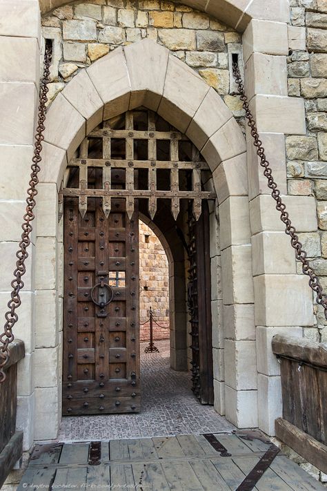 Medieval Door, Castle Doors, Winning Tattoo, Castle Gate, Architecture History, Cool Doors, Castle Designs, Castle House, Old Doors