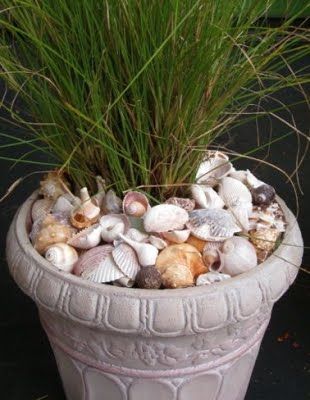 Cute cheap idea for the summertime patio look - just put shells in planterns or anywhere you want - in jars - etc Backyard Planters, Deco Nature, Coastal Gardens, Porch Garden, Shell Decor, Pool Decor, Beach Gardens, Beach Crafts, Cool Ideas