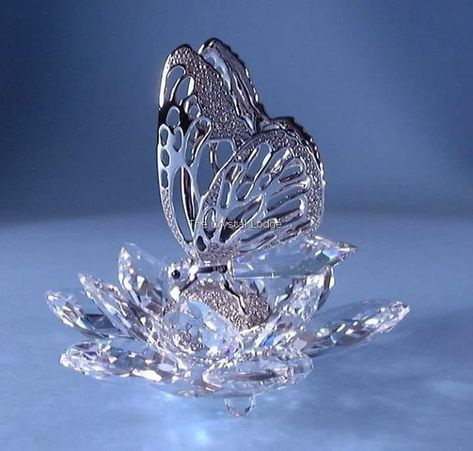 Ice Butterfly, Swarovski Butterfly, Swarovski Crystal Figurines, Glass Dolls, Crystal Aesthetic, Glass Sculptures, Crystal Glassware, Crystal Ornament, Crystal Figurines