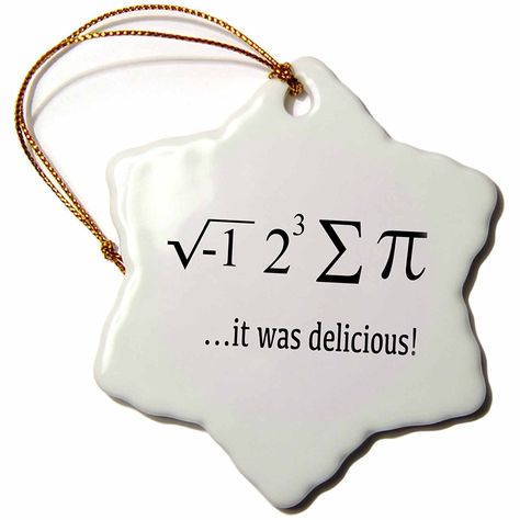 Math Christmas Ornaments, Math Decorations, Alexa Skills, Geek Crafts, Christmas Math, Math Humor, 3d Rose, Porcelain Ornaments, Old World Christmas