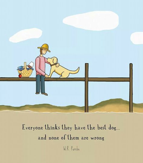 Everyone thinks they have the best dog... and none of them are wrong Love Your Pet Day, Funny Animal Quotes, Love Your Pet, Pet Day, Dog Rules, Airedale Terrier, Crazy Dog, Funny Animal Memes, Animal Quotes