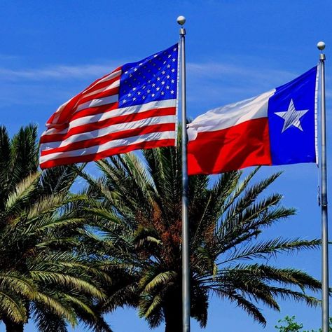 American and Texas flags Texas Flag, Constantly Hungry, Unique Flags, Texas Flags, United States Flag, American Patriot, Country Flags, Texas, Flag