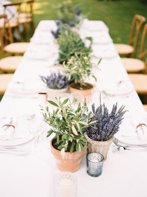 Herb Wedding Centerpieces, Herb Centerpieces, Herb Wedding, Global Wedding, Tafel Decor, Provence Wedding, Sustainable Wedding, Wedding Table Decorations, French Wedding