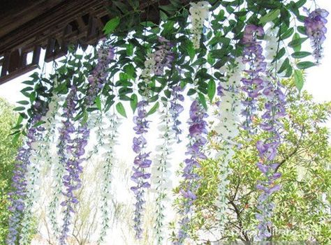 Wedding Plants Decor, Wedding Wisteria, Fake Flowers Decor, Ivy Flower, Fake Ivy, Wisteria Vine, Flower Room Decor, Flower Ceiling, Purple Wisteria