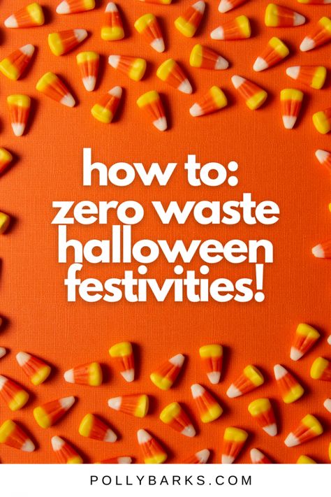 Sustainable Halloween, Zero Waste Holiday, Steiner Waldorf, Fair Trade Chocolate, Sustainable Eating, Toasted Pumpkin Seeds, Halloween Festivities, Zero Waste Kitchen, Candy Brands