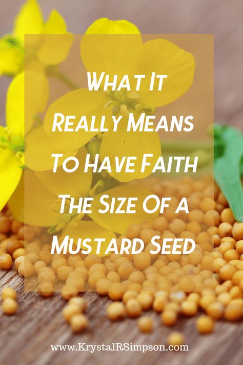 Mustard seed faith Bible Verse About Mustard Seed, Muster Seed Faith, Faith Of A Mustard Seed Verse, The Mustard Seed Parable Craft, Faith Like A Mustard Seed Craft, Faith Of A Mustard Seed Quote, Faith The Size Of A Mustard Seed, Faith As Small As A Mustard Seed, Faith Of Mustard Seed