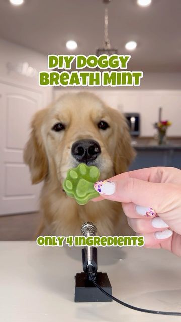 Diy Dog Mints, Doggy Breath Mints Diy, Doggie Breath Mints Diy, Breath Mints For Dogs, Dog Fresh Breath Treats, Dogs Breath Stinks, Mint Dog Treats Recipes, Dog Breath Mints Homemade, Dog Mint Treats