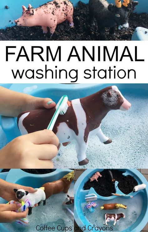 Farm Animal Washing Station Sensory Play for Toddlers and Preschoolers Farm Animal Sensory Bin, Animal Sensory Bin, تصنيف الحيوانات, Sensory Play For Toddlers, Uppfostra Barn, Sensory Play Toddlers, Washing Station, Maluchy Montessori, Farm Preschool