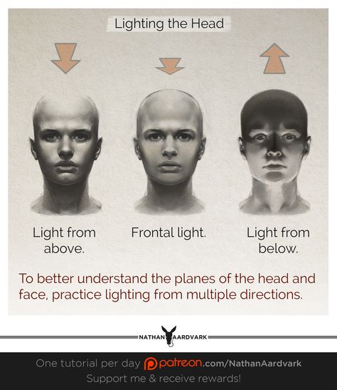 Above Lighting Reference Drawing, Face Lighting From Below, Light Source Above Reference, Lighting From Below Face, Above Head Lighting Reference, Shading Face Tutorial, Lighting From Above Reference Face, Shading The Face, Planes Of The Face Shading