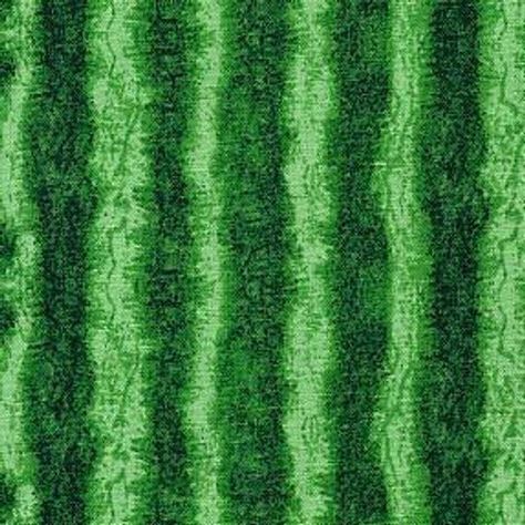 2 yards Watermelon rind green skin Cotton Fabric by Timeless Treasures C1173 Wallet Fabric, Fruit Nails, Watermelon Decor, Show Da Luna, Green Watermelon, Watermelon Rind, Timeless Treasures Fabric, Green Skin, Watermelon Seeds