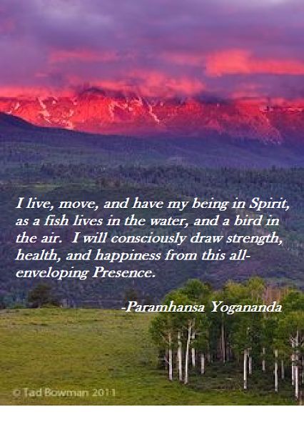 Yogananda Paramahansa, Arguing Quotes, Paramhansa Yogananda Quotes, Yogi Quotes, Paramahansa Yogananda Quotes, Yogananda Quotes, Paramhansa Yogananda, Yoga Master, Kriya Yoga