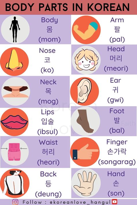 Abc In Korean, And In Korean, Korean Flashcards Learning, Body Parts In Korean, Korean Pronouns Formal And Informal, Korean Vocabulary List Beginner, Korean Introduction, Body In Korean, How To Make Flash Cards