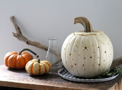 starry sky pumpkin | gardenista Diy Pumpkin Carving Ideas, Halloween Ambience, Star Pumpkin, Diy Pumpkin Carving, Pumpkins Painting, Erin Boyle, Easy Pumpkin Carving, Pumpkin Carving Designs, Pumpkin Carving Ideas