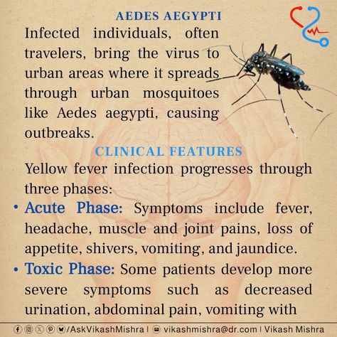 Yellow Fever . . #medicalstudent #yellow #fever #biologylab #medicaldoctor #physicians #medical #biology #medicalstudents Medical Biology, Biology Labs, Yellow Fever, Abdominal Pain, Medical Students, Doctor Medical, Urban Area, Headache, Biology