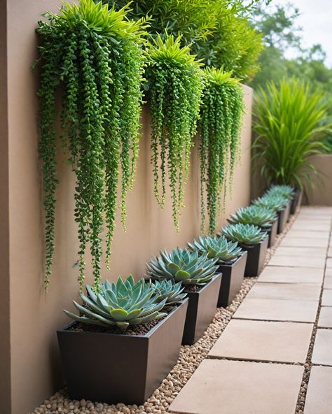 10 Succulents For Landscaping Desert Landscapes Front Yard, Fountain With Succulents, Modern Succulent Landscape Design, Backyard Succulent Landscaping, Succulent Landscape Design Backyards, Clay Soil Landscaping, Az Landscaping Ideas Backyards, Desert Plants In Pots, Succulent Wall Diy