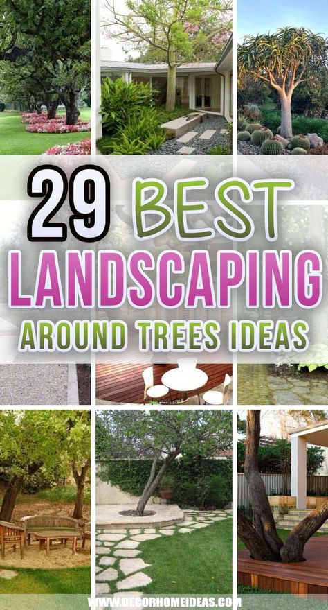 Deck Around Trees, Corner Landscaping, Trees For Front Yard, Plants Under Trees, Landscaping Around Trees, Tattoo Plant, Patio Trees, Backyard Trees, Landscaping Trees