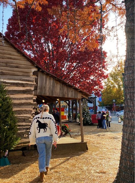 Grapevine Texas Wine Crawl Texas Autumn, Winter In Texas, Coastal Cabin, Texas Winter, Grapevine Texas, Texas Farm, Great Minds Think Alike, Dream Aesthetic, Romanticizing Life