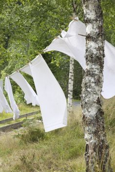 . Washing Lines, Clothes Lines, Laundry Art, Fresh Laundry, Clothes Hanging, Laura Ingalls, Washing Line, Birch Trees, Down On The Farm