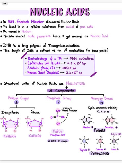 Biology❤️ How To Study Biology High Schools, Biomolecules Notes Biology Neet, As Level Biology Notes, Biomedical Science Notes, As Level Biology, Biology Study Guide, Biomolecules Notes Biology Class 11 Neet, Grade 11 Biology Notes, Macromolecules Biology Notes