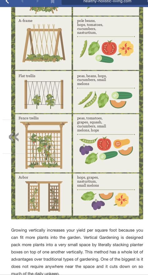 Vegetable Garden Vertical, Veggie And Fruit Garden Layout, Vertical Garden Layout, Small Vegetable Garden Design Layout, Small Backyard Vegetable Garden Design Layout, Small Homestead Garden Layout, Vegetable Garden Plans Layout Design, Fruit And Vegetable Garden Layout, Beginner Garden Layout