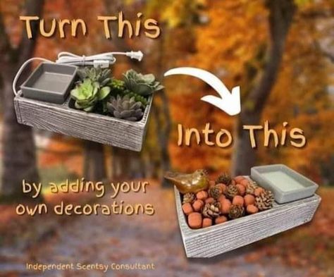 Cute Fall Decor, Selling Scentsy, Scentsy Consultant Ideas, Scentsy Party, September 1st, Wickless Candles, Electric Candle Warmers, Scentsy Consultant, Faux Succulents