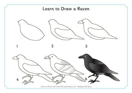 Learn to Draw a Raven How To Draw A Raven Easy, How To Draw A Raven, Draw A Bird Easy, Crow Or Raven, Draw A Bird, Crows Drawing, Draw Birds, Harry Potter Painting, Easy Drawings For Beginners