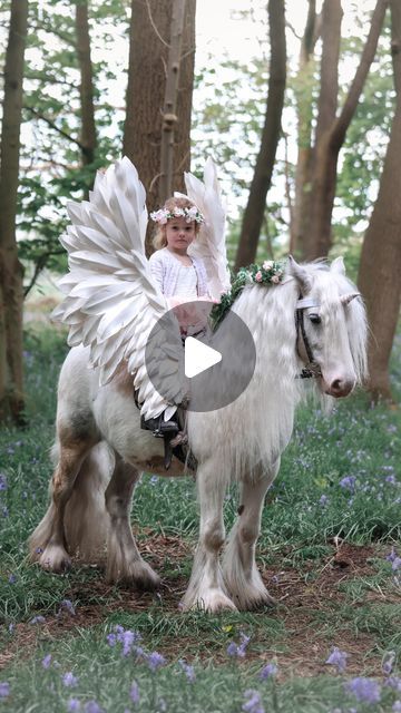 Mobberley Miniatures on Instagram: "Always believe in Unicorns 🤍  Thankyou @mv_photography93 for capturing such a magical morning with Honey and Marshmallow✨   #unicorn#enchantedwoodland#fairytail#solucky#pegasus#alicorn" Marshmallow Unicorn, Unicorn Real, Pegasus Unicorn, Real Unicorn, Real Video, Always Believe, Amazing Places, Fairy Tail, The Good Place