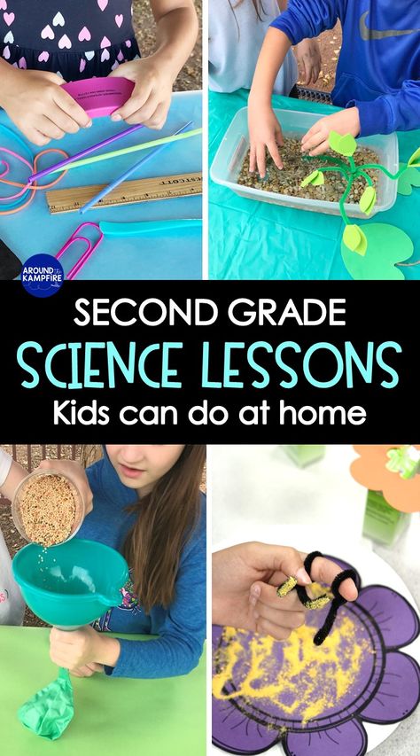 Homeschooling 2nd Grade, 2nd Grade Activities, Second Grade Science, Learning At Home, Homeschool Education, Homeschool Learning, Homeschool Lesson, Homeschool Activities, Elementary Science