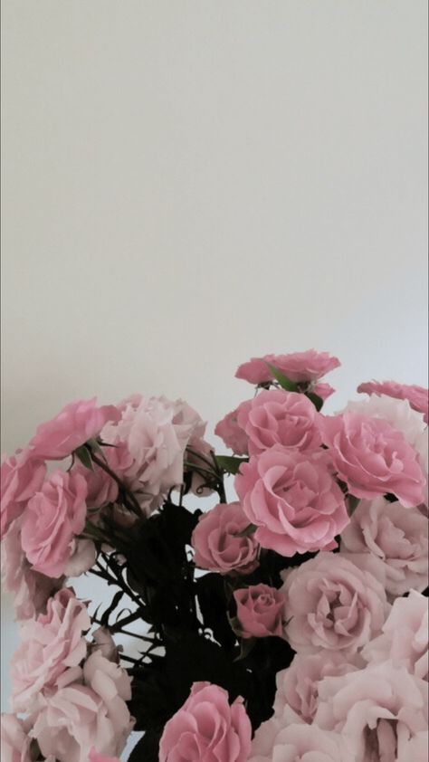 Aesthetic Flower Wallpapers - Top Free Aesthetic Flower Backgrounds - WallpaperAccess Pink Roses Aesthetic Wallpaper, Roses Lockscreen, Flower Lockscreen Aesthetic, Pink Flowers Aesthetic Wallpaper, Floral Tumblr, Iphone Wallpaper Plants, Pink Flower Wallpaper, Tumblr Flower, App Aesthetic