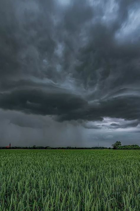 Overcast Weather, Dark Naturalism, Best Nature Images, Storm Chasing, Foggy Mountains, Cloudy Weather, Wild Weather, Surreal Photos, Pretty Landscapes