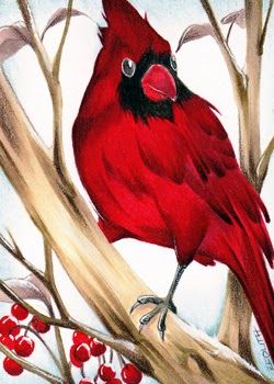 Alcohol Ink Markers, Interesting Drawings, Copic Marker, Cardinal Bird, My Turn, Cardinal Birds, Colouring Techniques, Copic Coloring, Digi Stamps