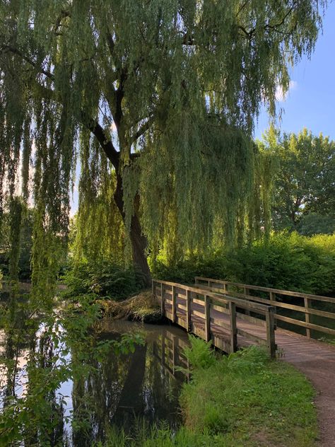 Country List, Weeping Willow Tree, Pretty Trees, Meditation Garden, Green Country, Weeping Willow, Countries In The World, Pretty Landscapes, Willow Tree