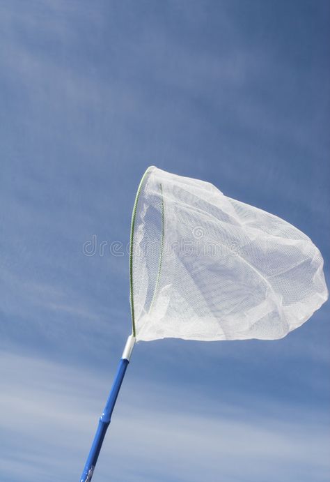 About Butterfly, Butterfly Net, Insect Netting, Butterfly Blue, Presentation Template, Blue Sky, Insects, Photo Image, Presentation