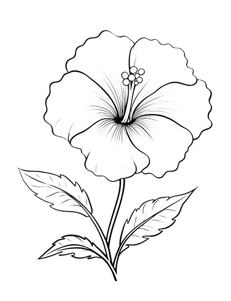 Flower Coloring Pages Free Printable, Pretty Flower Drawing, Realistic Rose Drawing, Daisy Drawing, Simple Flower Drawing, Printable Flower Coloring Pages, Rose Coloring Pages, Frog Coloring Pages, Dragon Coloring Page