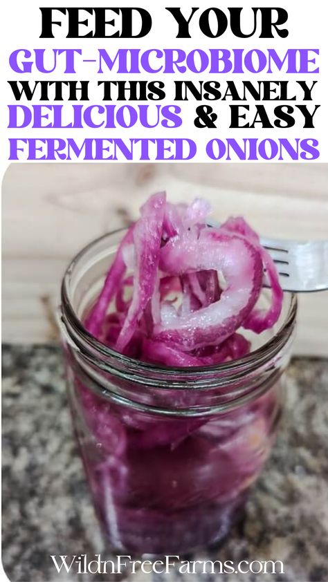 fermented onions Canning Fermented Foods, Fermenting For Beginners, Lacto Fermented Onions, Diy Fermentation Weights, Preserving Red Onions, Fermented Broccoli Recipe, Fermented Onion Relish, Fermented Red Onions Recipe, Best Fermented Foods