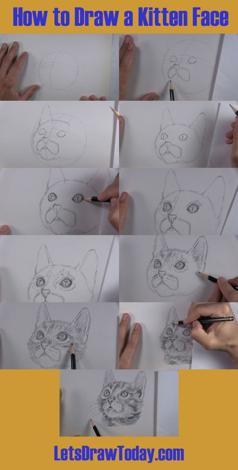 Cat Head Drawing, Gatos Aesthetic, Face Step By Step, Step By Step Sketches, Kitten Face, Cat Drawing Tutorial, Art Tutor, Pencil Drawing Tutorials, Cat Steps