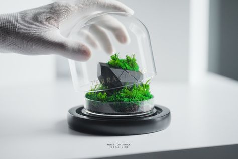 "Moss on Rock" is a desktop terrarium that combines the intricate patterns of tessellated geometries found on rocky surfaces with the latest advances in 3D-printing technology. The use of ZERO Moss symbolizes the passage of time and thought and served as a reminder of the timelessness of the natural world. As light dances across the 3D-printed "R - Rocks", it highlights the complex interplay between form and function. #terraliving #tessellation #mossonrock #terrarium #minimalist #3dprint 3d Printed Terrarium, Desktop Terrarium, Passage Of Time, The Passage, Art And Science, 3d Printing Technology, Intricate Patterns, Natural World, 3d Printed